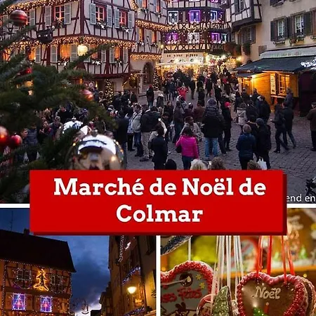 Centre Historique La Collegiale Apartment